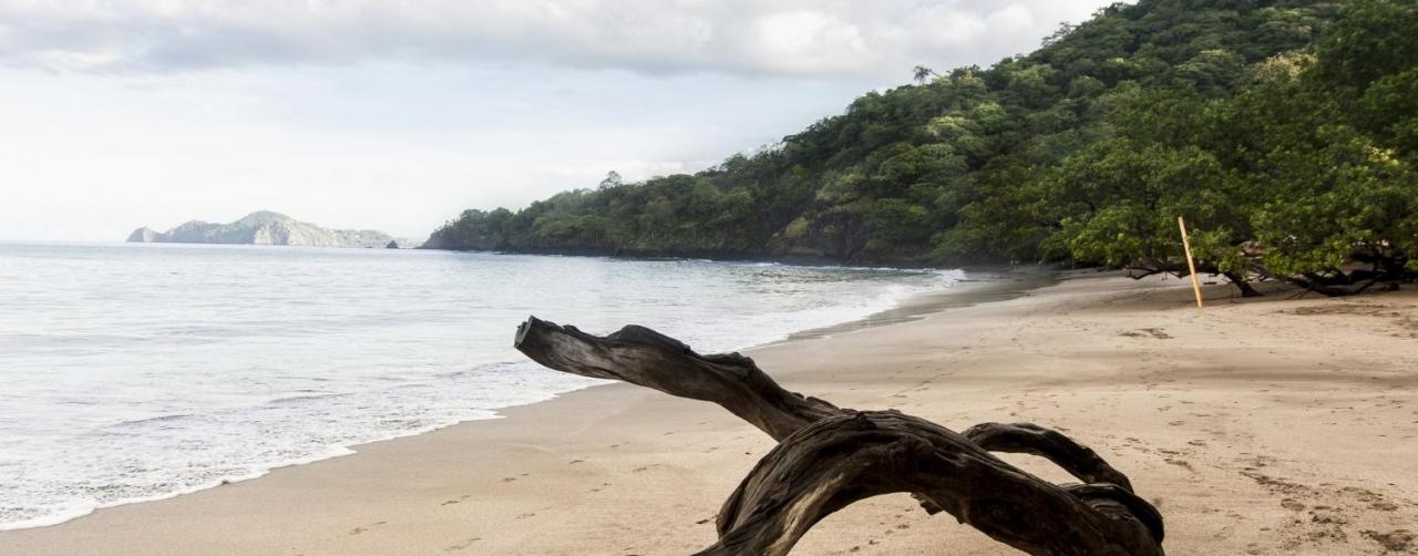 Villas Sol Hotel Beach Resort Costa Rica Costa Rica Dhs5415 S Villas Sol Hotel Beach Resort