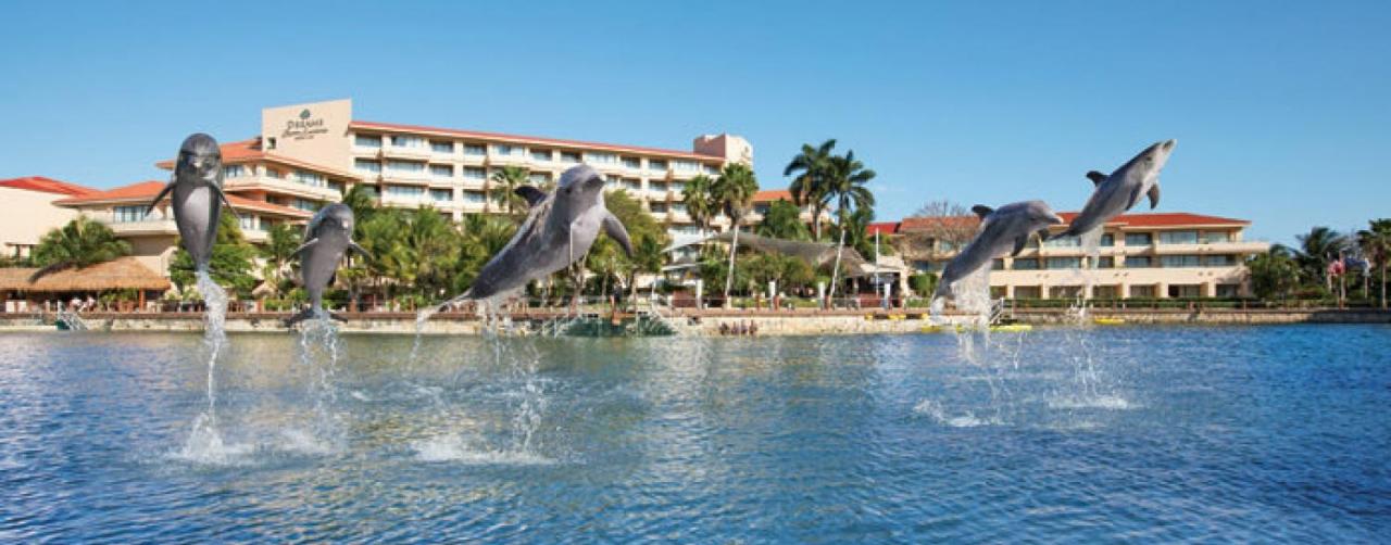 Dreams Puerto Aventuras Resort Spa Riviera Maya Mexico Drepa_dolphins1_3