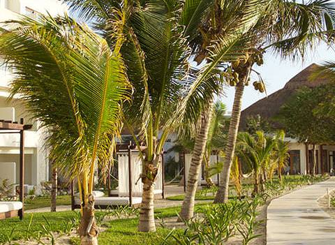 Akumal Bay Beach Wellness Resort Beach 2