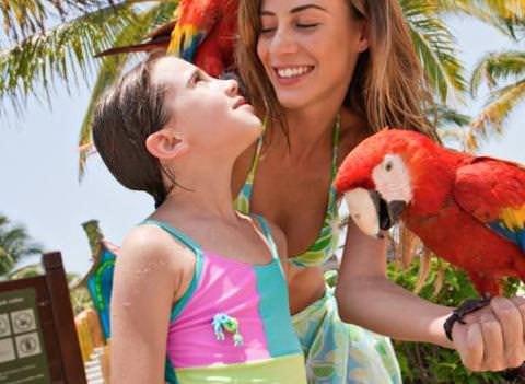 Barcelo Maya Palace Deluxe Kids 4