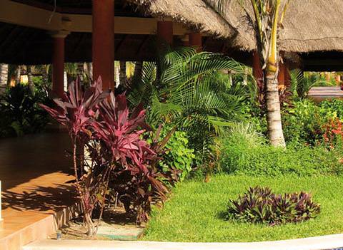 Barcelo Maya Tropical And Colonial Beach Pool 3