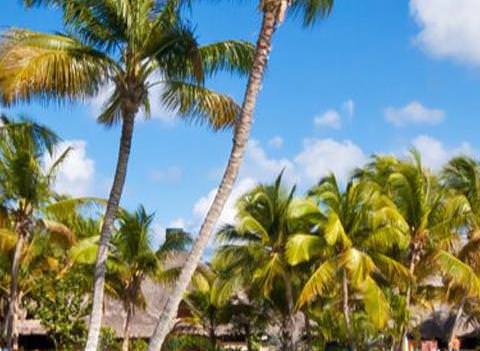 Catalonia Gran Dominicus Pool