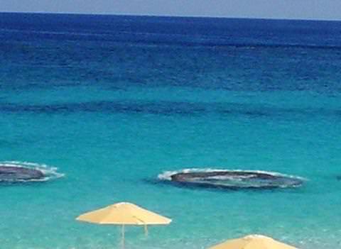 Coco Reef Bermuda Beach 2