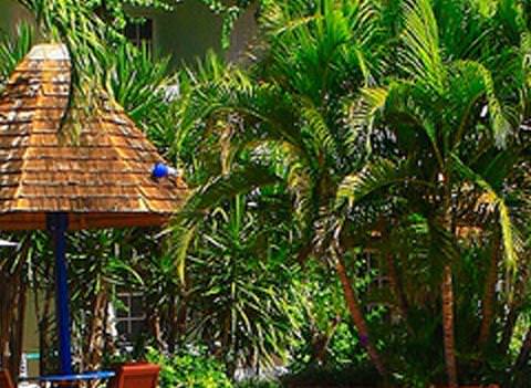 Coconut Court Beach Hotel Pool