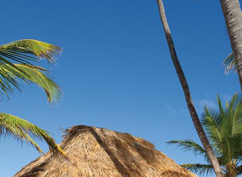 Dreams Punta Cana Resort Spa Beach 1