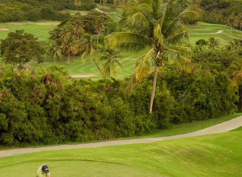 El Conquistador Resort Golden Door Spa Activities