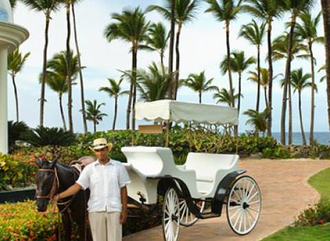 Excellence Punta Cana Activities