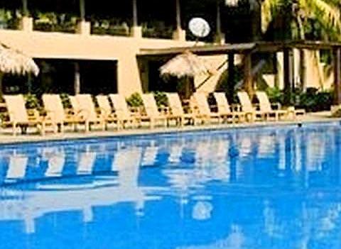 Flamingo Beach Resort Pool 3