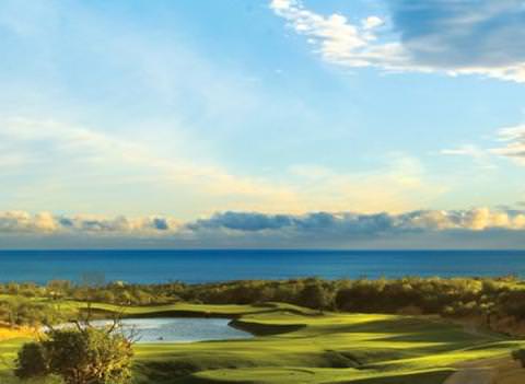 Hilton Los Cabos Beach And Golf Resort 1