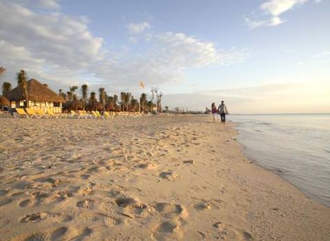 Iberostar Cozumel Beach 6