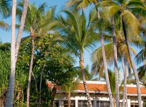 Melia Caribe Tropical Resort Pool 2
