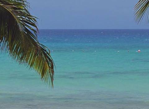 Melia Vacation Club Cozumel Beach 1