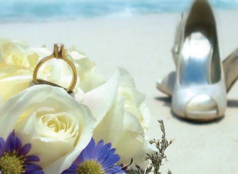 Oasis Palm Wedding 1