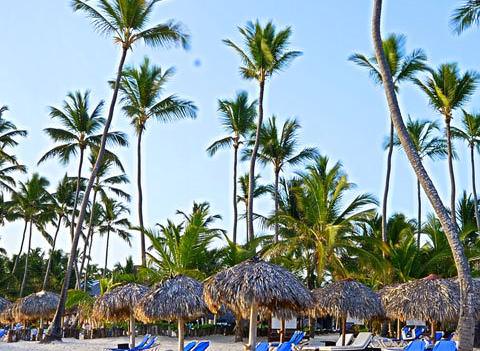 Occidental Grand Punta Cana Beach 2