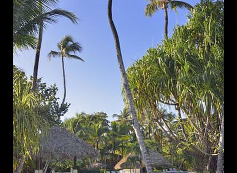 Paradisus Punta Cana Resort Pool 3