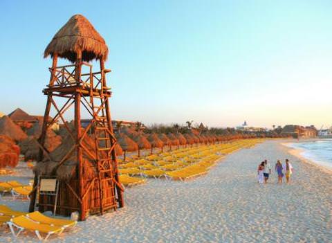 Plenty Of Lounge Chairs On Beach Iberostar Paraiso Maya