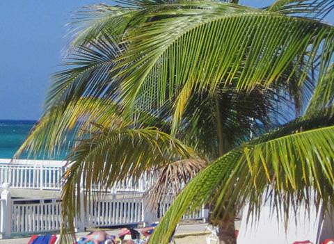 Royal Decameron Montego Beach Beach 1