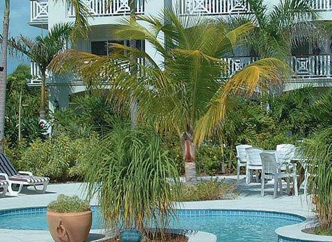 Royal West Indies Resort Pool 1