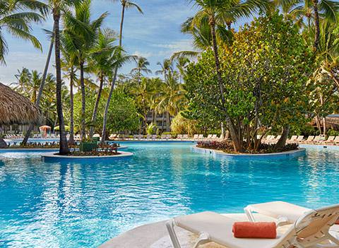 Sunscape Bavaro Beach Punta Cana Pool