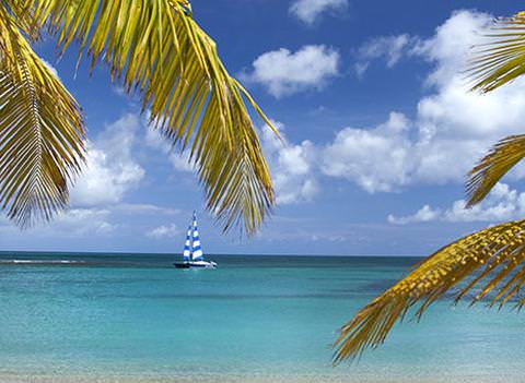 The Buccaneer Beach 3
