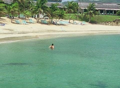 The Buccaneer Beach 8