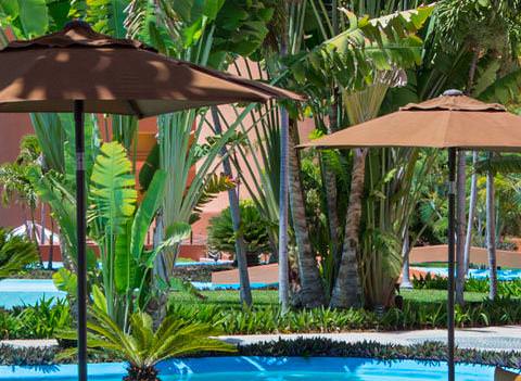 The Westin Resort Spa Los Cabos Room