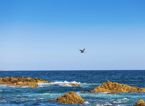 San Jose del Cabo All Inclusive Resorts